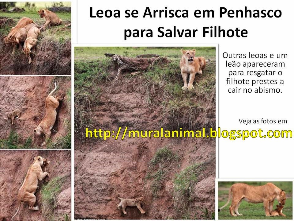 [Slide1%255B3%255D.jpg]