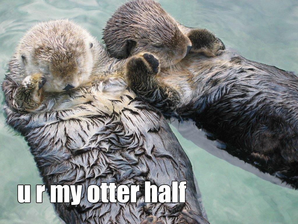 [my-otter-half%255B5%255D.jpg]