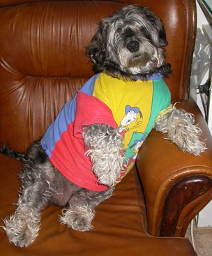 [197C%255B5%255D.jpg]