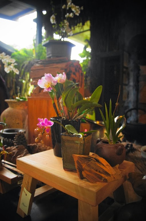 [DSC07165%255B8%255D.jpg]