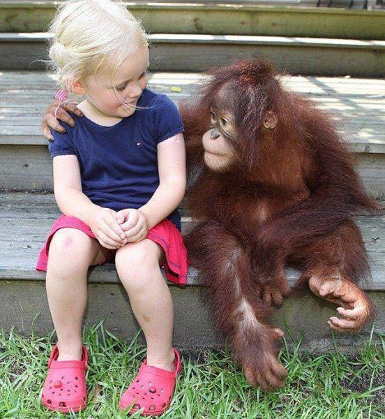 [child-monkey%255B6%255D.jpg]