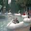 2001 - Kinderfreizeit 2001 - 2. Teil