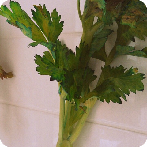 [IMG_20120531_105230-001%255B8%255D.jpg]