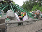 IMG_6248