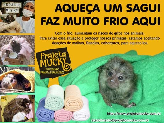 [clip_image006%255B4%255D.jpg]