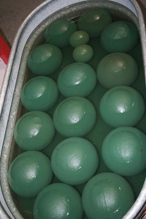 [6a00e5508cf2b4883301538fadb248970b-5%255B1%255D.jpg]