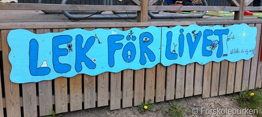 IMG_1770 IMG_1770