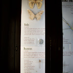 100_0414.JPG