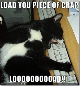 cat%252520and%252520keyboard_thumb%25255