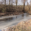dsc06331.jpg