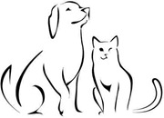dogcat