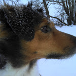 2010-12-03_15-59-54_784.jpg