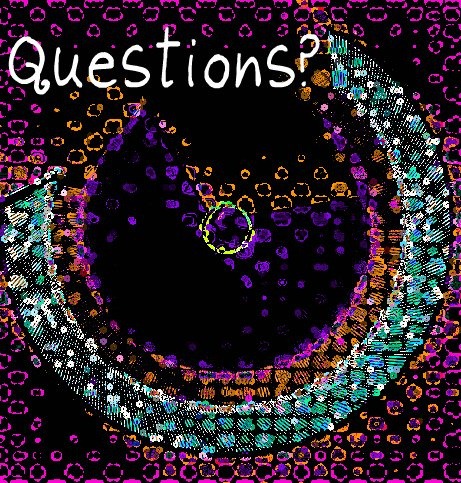 [question%255B3%255D.jpg]