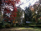 May 15 - Autumn Garden