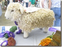 skein_and_garment_sheep skein_and_garment_sheep