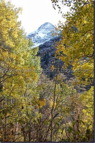 DSC_0697 DSC_0697