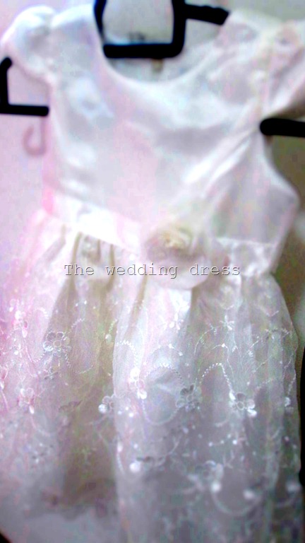 [IMG_1081%255B23%255D.jpg]