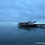 IMG_5925.jpg