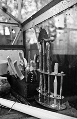 The Greenhouse 2 - Film