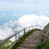 And she is buying a stairway to heaven .... Pgphoto