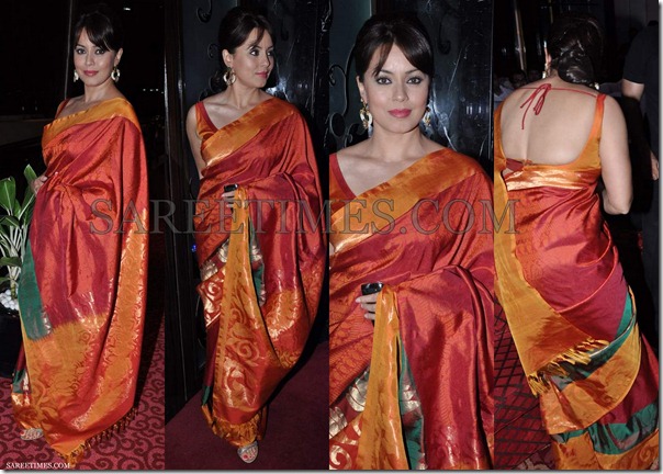 Mahima_Chaudhary_Silk_Saree