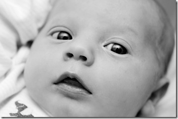 IMG_1271edit bw