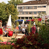 HS_20110729_guidokraut.de_5214.jpg