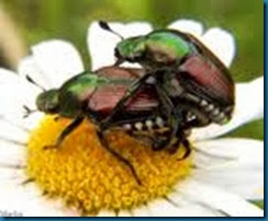 imagesCACMZD20 imagesCACMZD20