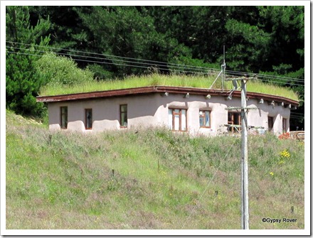 A turf roof spotted on the Pahiatua - Pongoroa Road