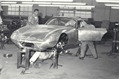 Shelby-Caroll-24
