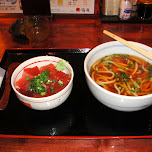 udon and tuna sashimi in shizuoka japan in Shizuoka, Japan 