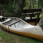 El transporte del delta