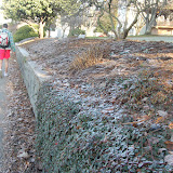 2011 2011