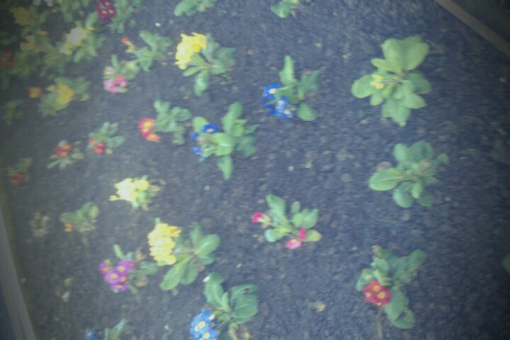 [FxCam_1330934558911%255B4%255D.jpg]