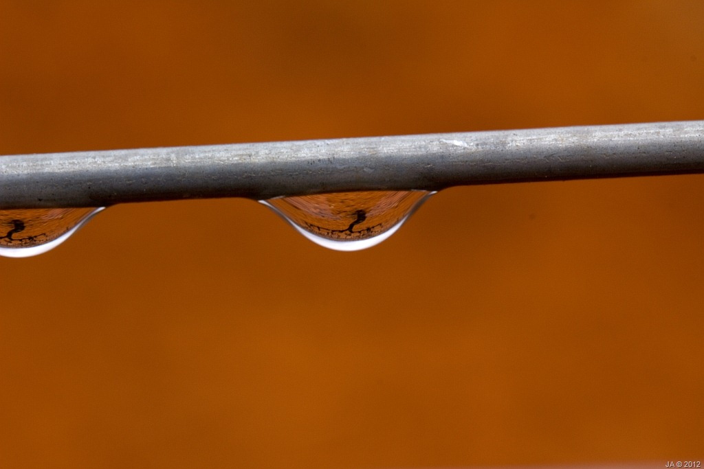 [gotas_IMG_0163_R%255B13%255D.jpg]