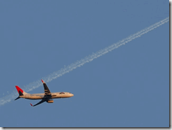 1424017_20111110182332