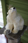 Polar bears seem to be everywhere!