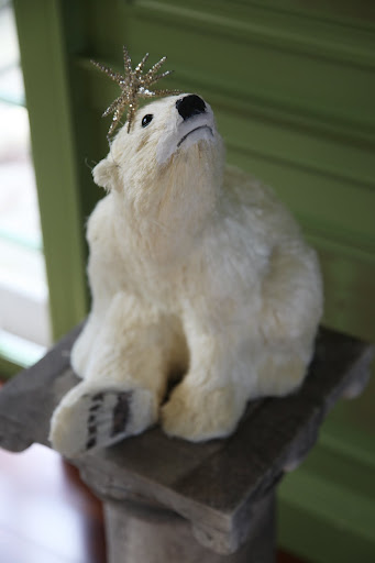 Polar bears seem to be everywhere!