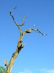 DSCN7044.JPG