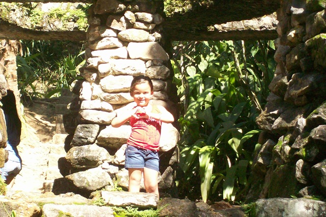 [JARDIM%2520BOT%25C3%2582NICO%2520%25289%2529%255B2%255D.jpg]