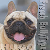 HUGO_bully type1.jpg