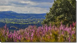 Glen of Aherlow, Condado de Tipperary