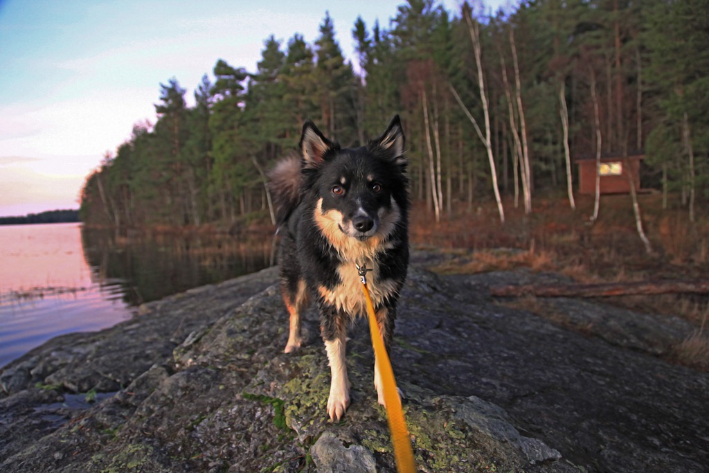 [08nov2011_Ingridtjern_5233%255B5%255D.jpg]