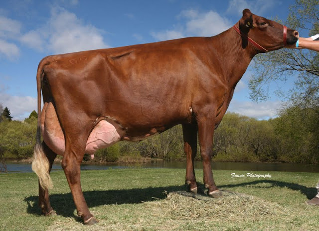 Myrtleholme Empress 41.jpg