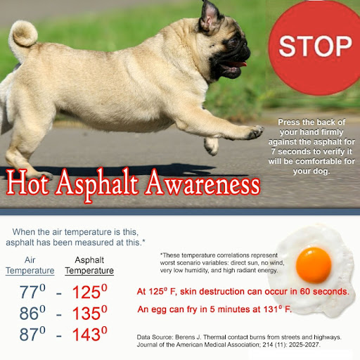 Above are some important estimates regarding thermal burns from contact with street/highway asphalt. Click to view details above and noted source. Above are some important estimates regarding thermal burns from contact with street/highway asphalt. Click to view details above and noted source.