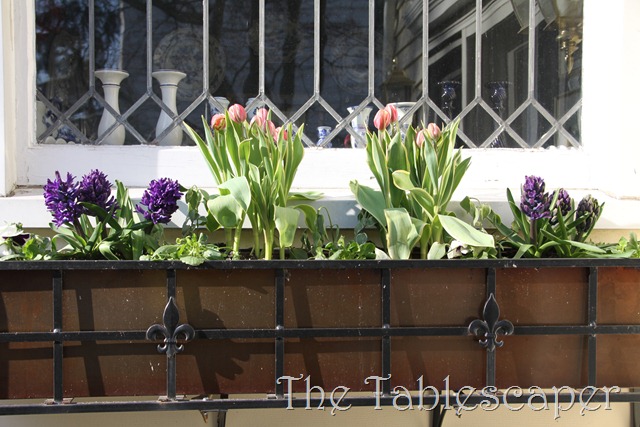 [Easter-is-Upon-Us-0193.jpg]