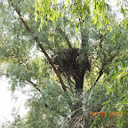 DSCN9673.JPG