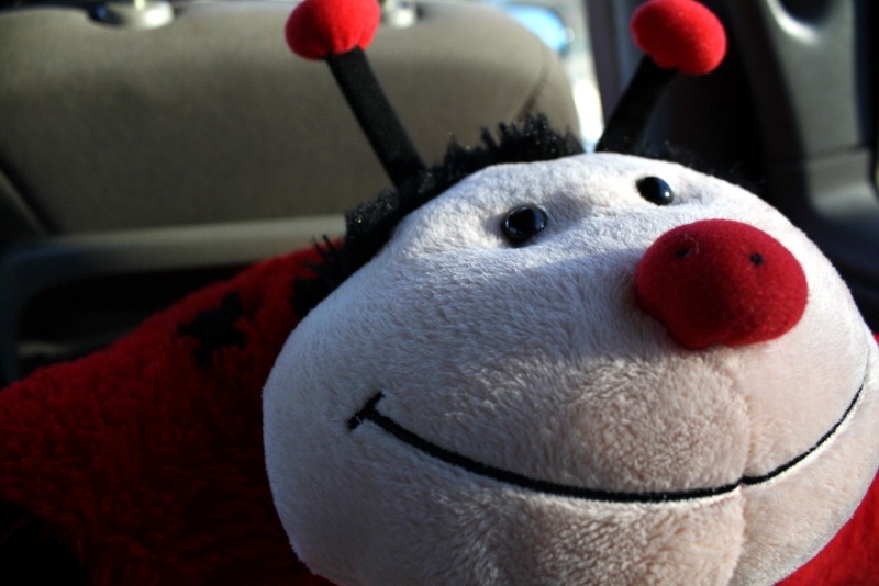 [Christmas-2011-1814.jpg]