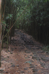DSC_1018.jpg