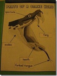 IMG_9440 IMG_9440